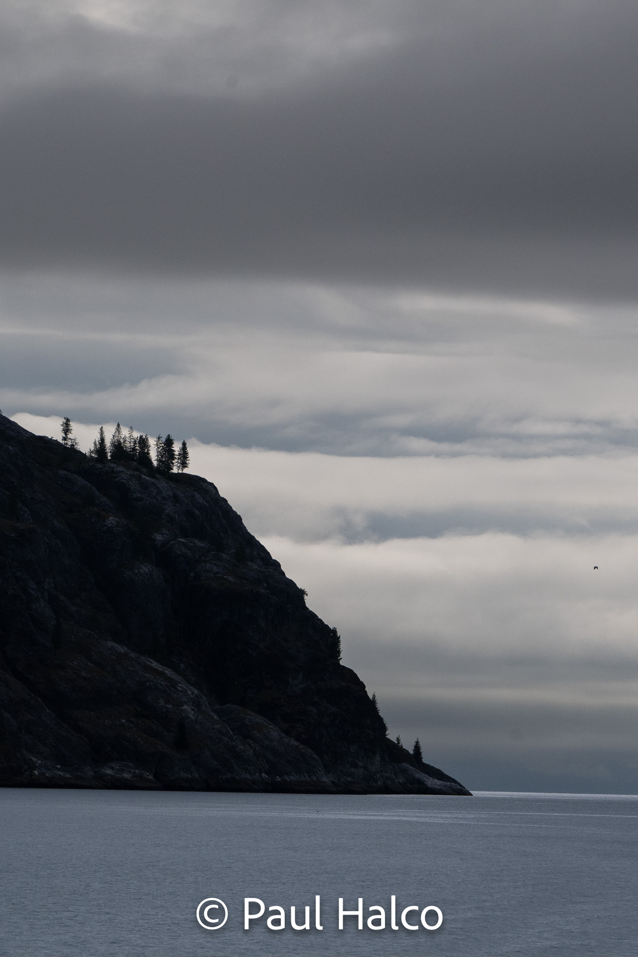 Paul Halco - Glacier Bay NP-24
